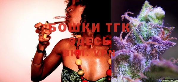 эйфоретик Бикин
