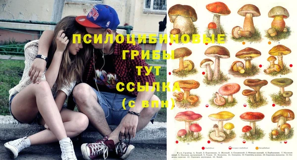 jwh Нея