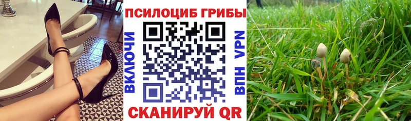 Псилоцибиновые грибы Magic Shrooms  наркошоп  Барнаул 