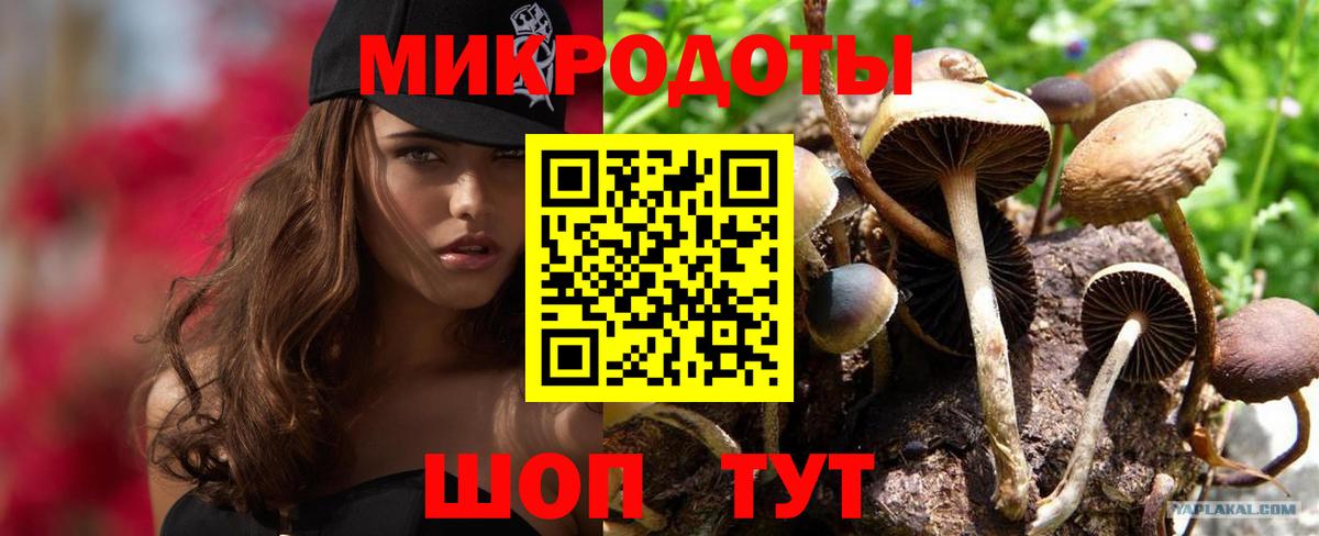 Псилоцибиновые грибы MAGIC MUSHROOMS  Вход с VPN  Барнаул 