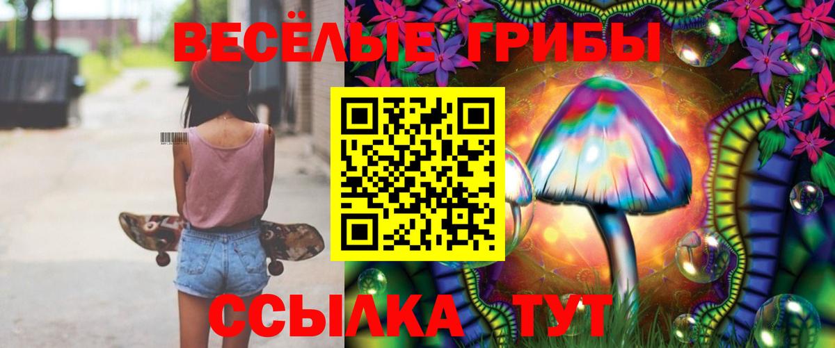 Псилоцибиновые грибы Cubensis Барнаул